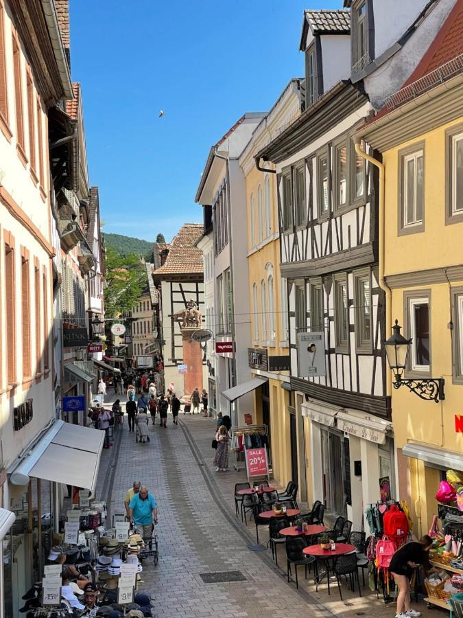 Ferienwohnung Der Kunigunde Neustadt an der Weinstraße Екстериор снимка